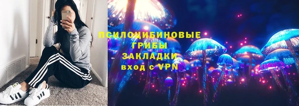 дмт Арсеньев