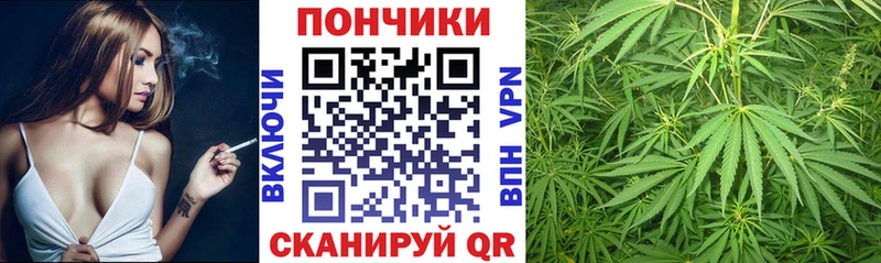 Бошки марихуана конопля мориарти телеграм Покровск